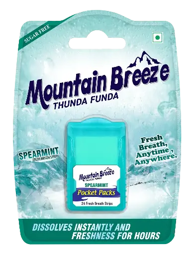 Mountain Breeze Sugar-Free Spearmint Fresh Breath Strips 1pc